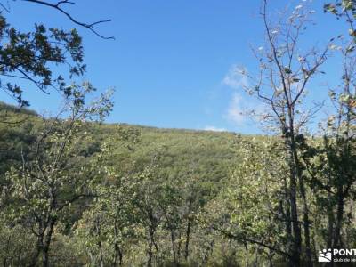 Hayedo de La Pedrosa-Riaza-Sierra Ayllón; excursiones madrid sierra excursiones en la sierra de madr